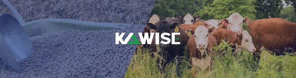 Kawise助力提升肉牛养殖收益
