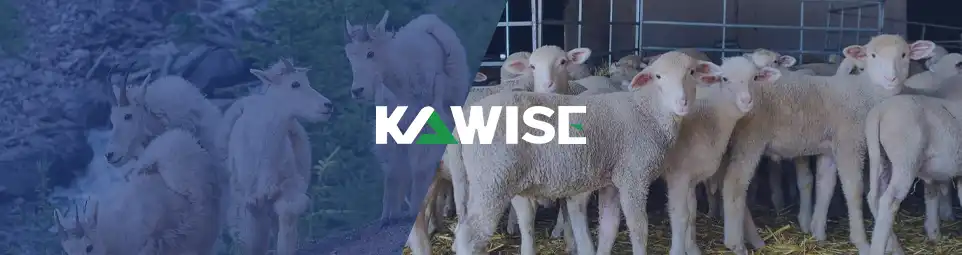Kawise 羊和山羊饲料加工设备