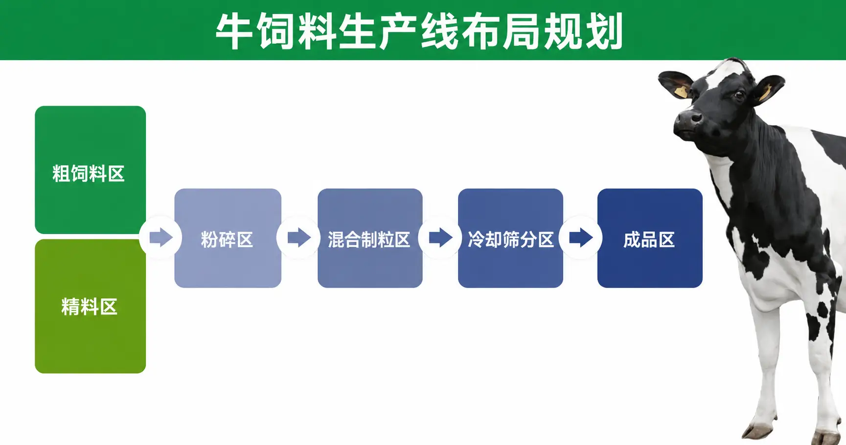 牛饲料生产布局规划