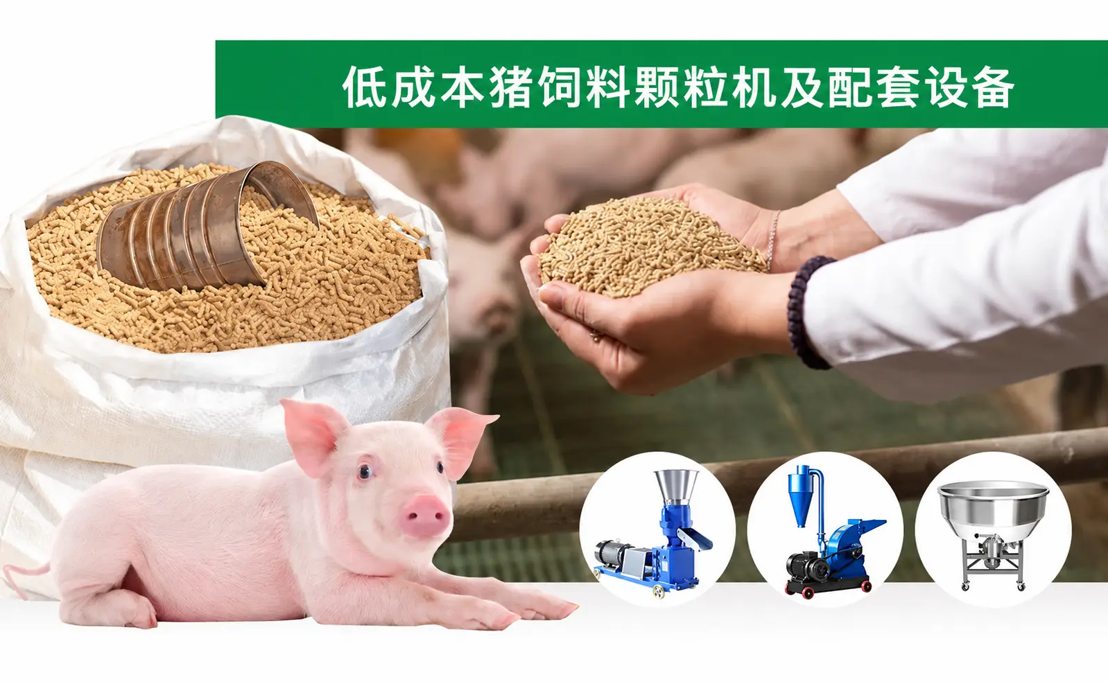 低成本猪饲料颗粒机及设备