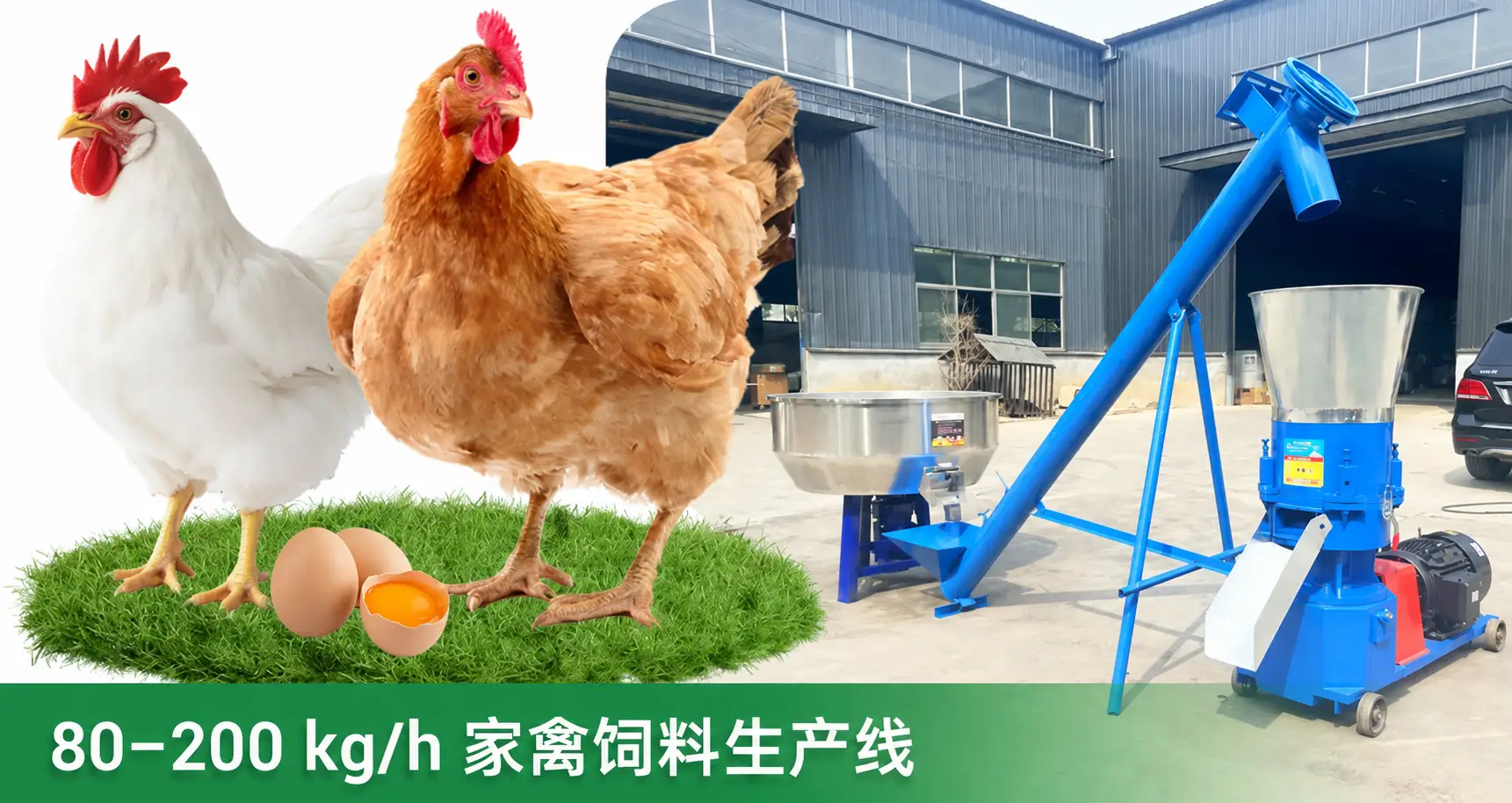 低成本小型家禽饲料生产线