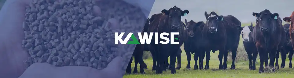 使用Kawise设备养殖肉牛