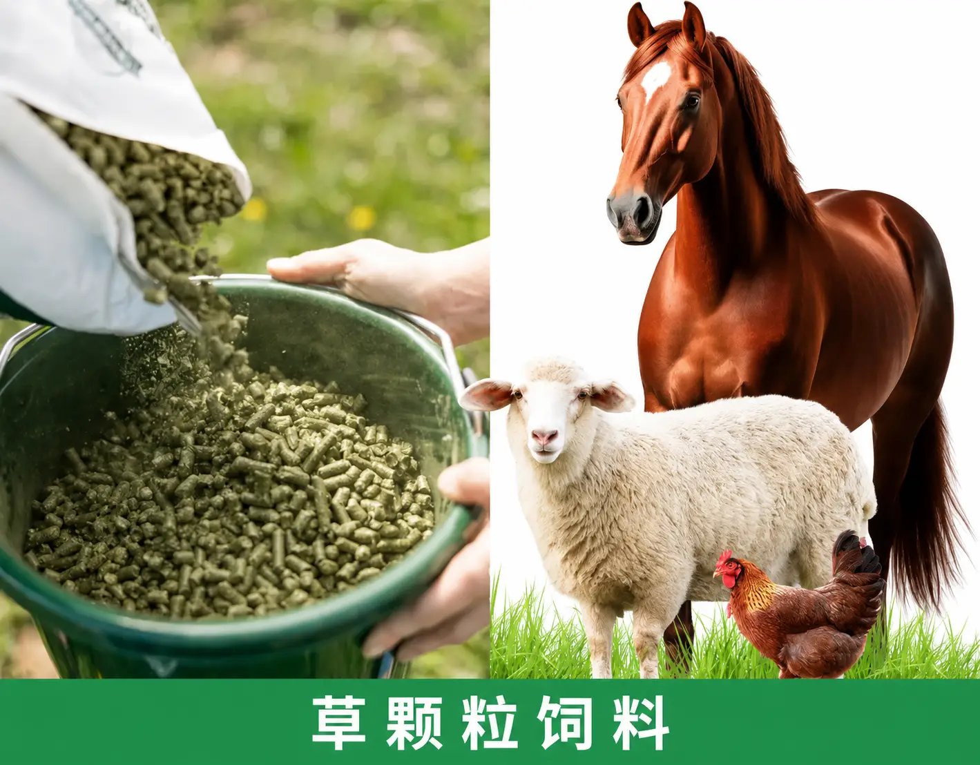 制作草料颗粒