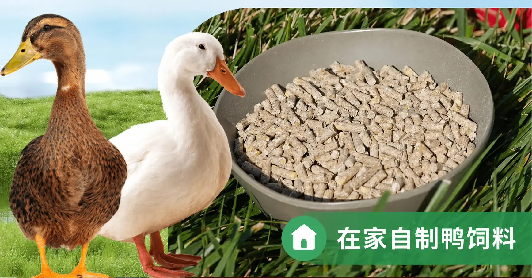 自制鸭颗粒饲料