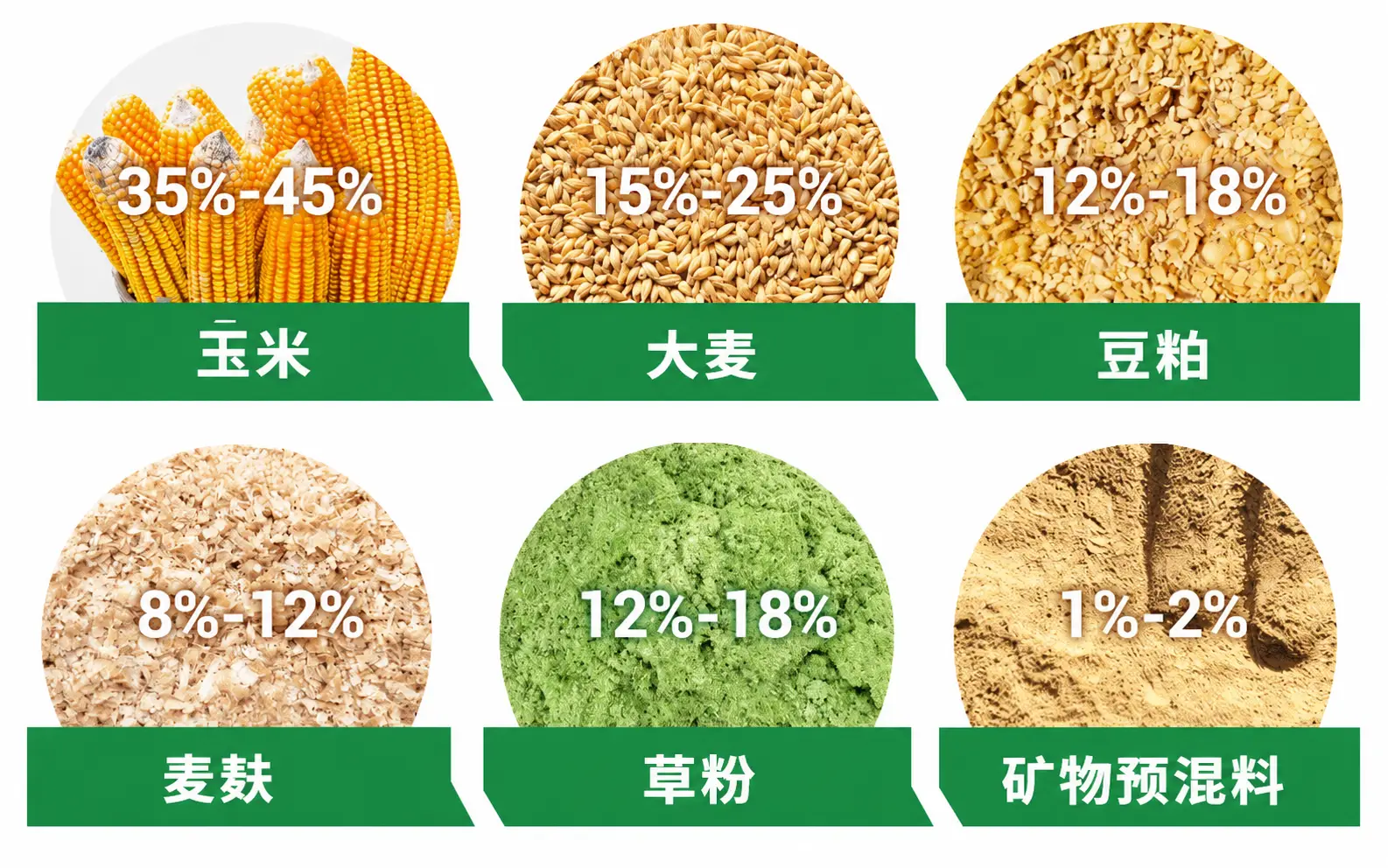 肉羊育肥阶段