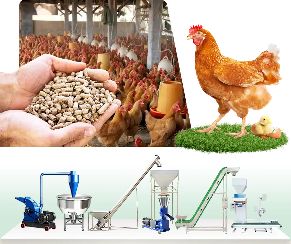 中型家禽饲料生产线