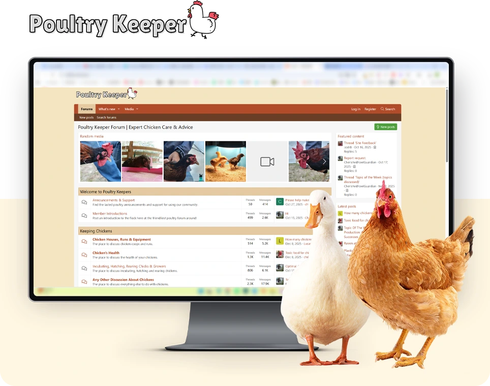 Poultry Keeper 论坛