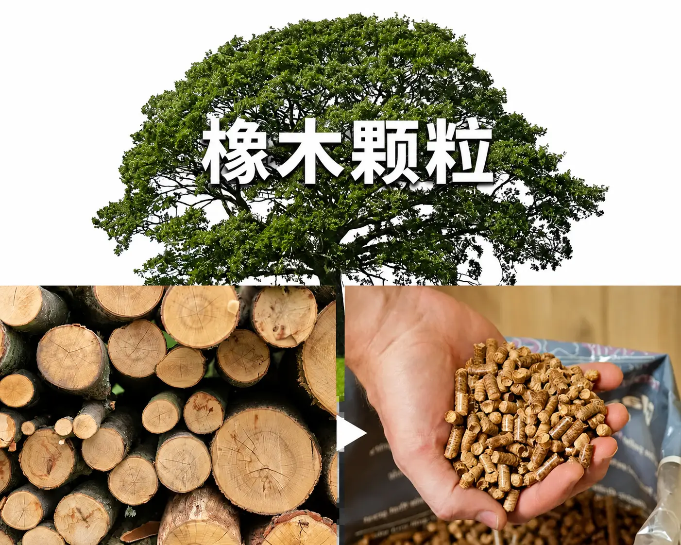 橡木加工成燃料颗粒