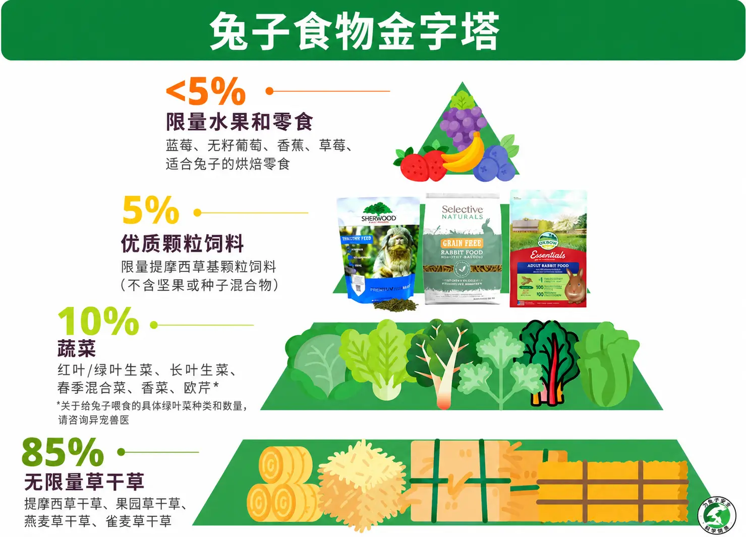 兔子食物金字塔