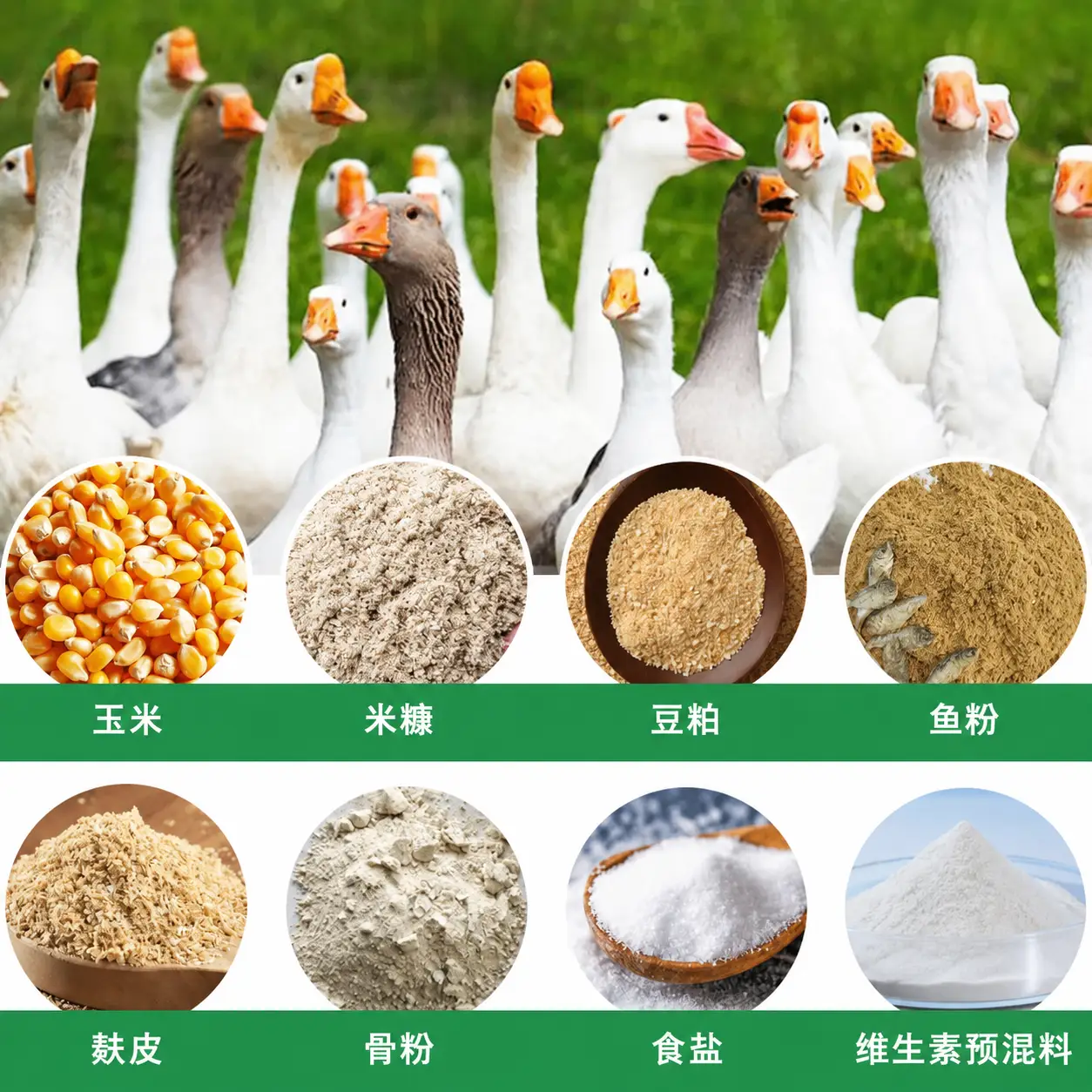 自制鹅饲料颗粒配方