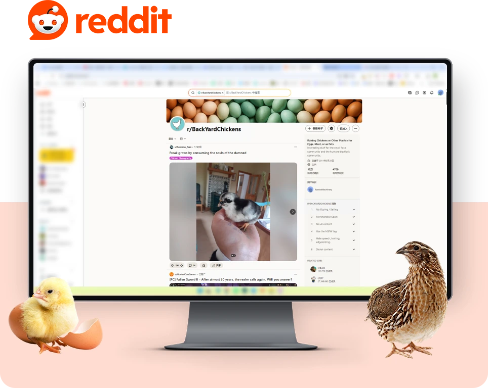 Reddit 家禽论坛