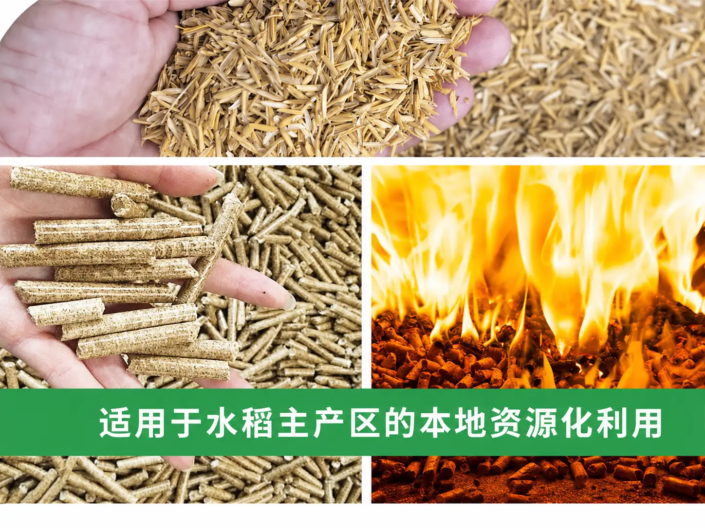 稻壳燃料颗粒