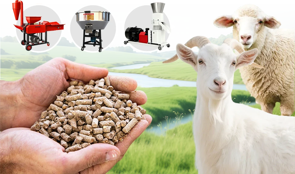 山羊和绵羊饲料加工设备