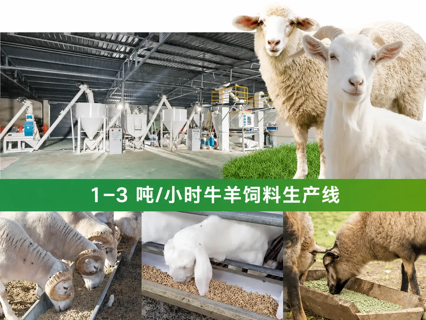 大型羊和山羊饲料生产线