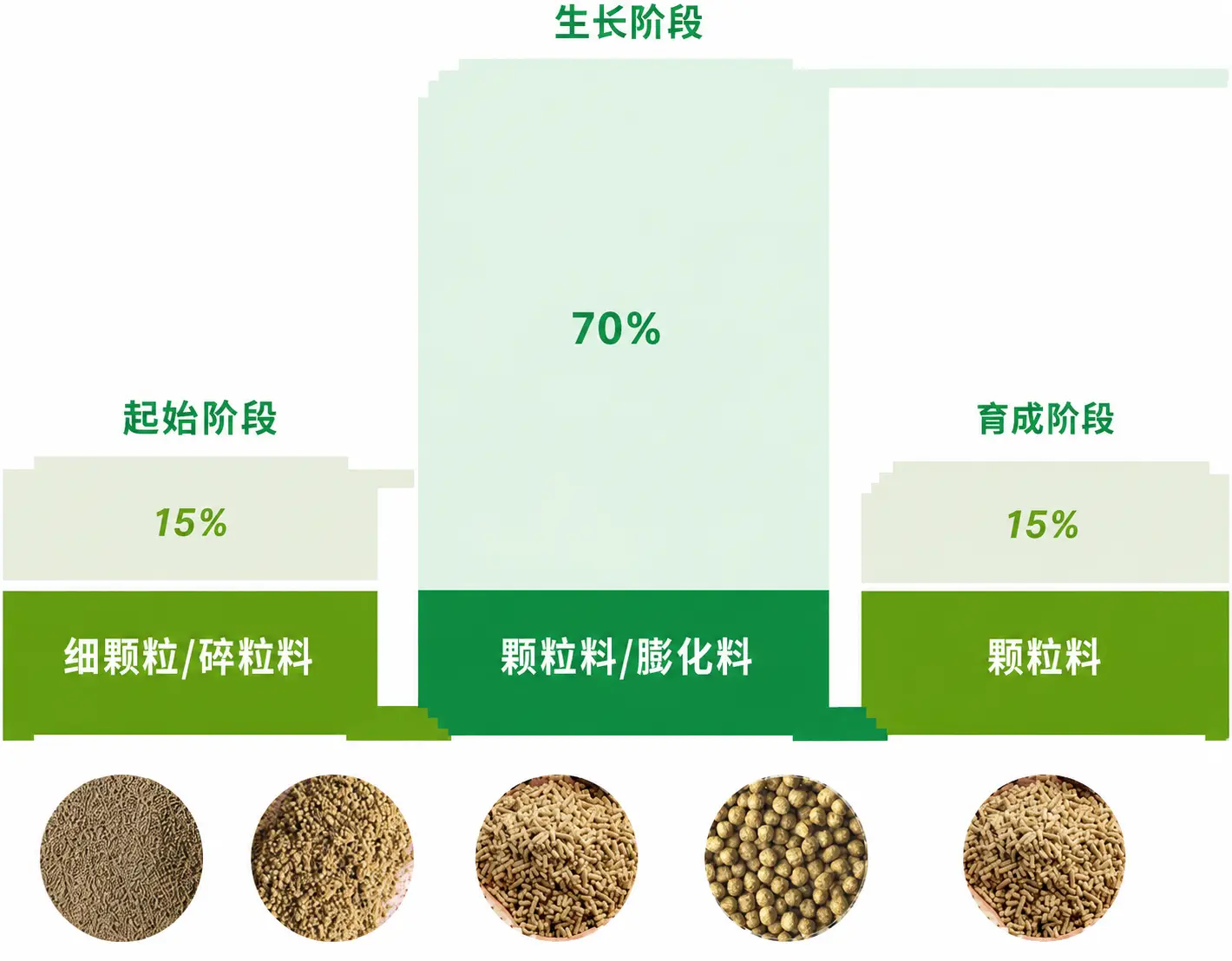 虾饲料类型