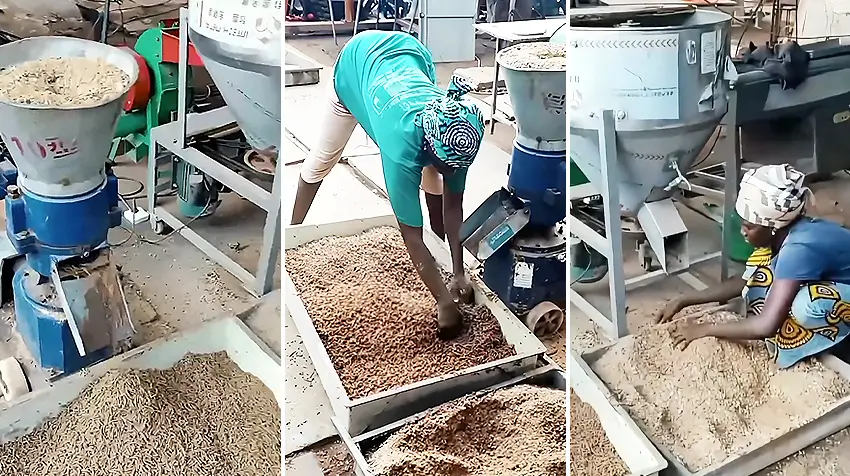小型饲料加工场