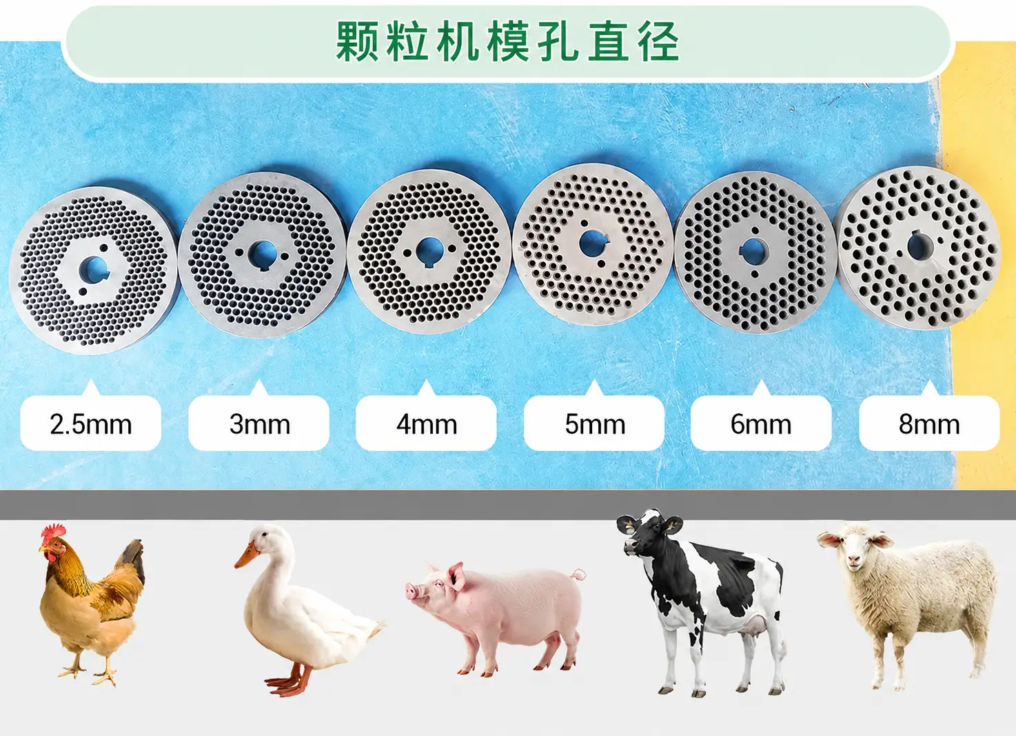适合不同动物的模具尺寸