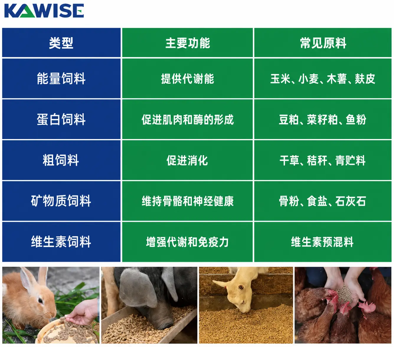 不同动物类型总结