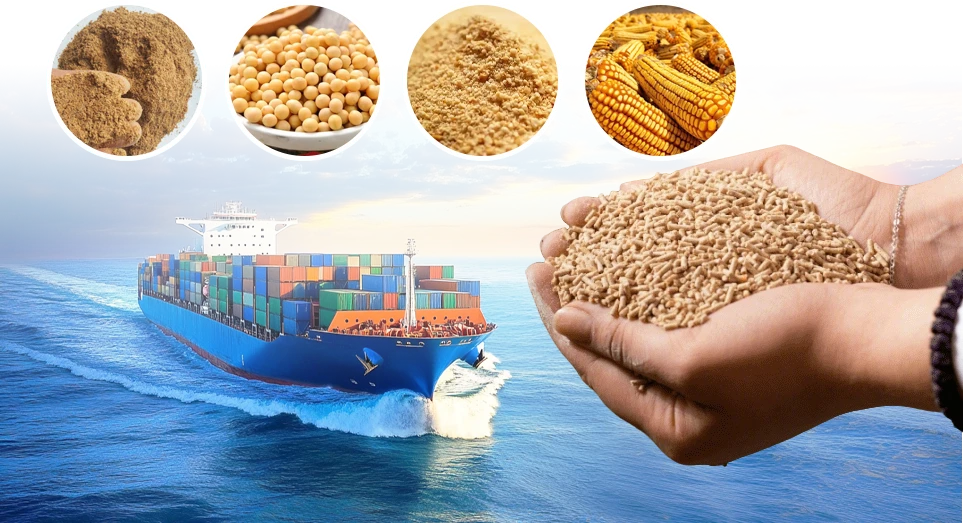 越南水产饲料进口税政策