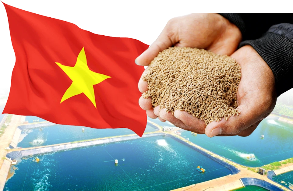 越南虾饲料自制生产可行性