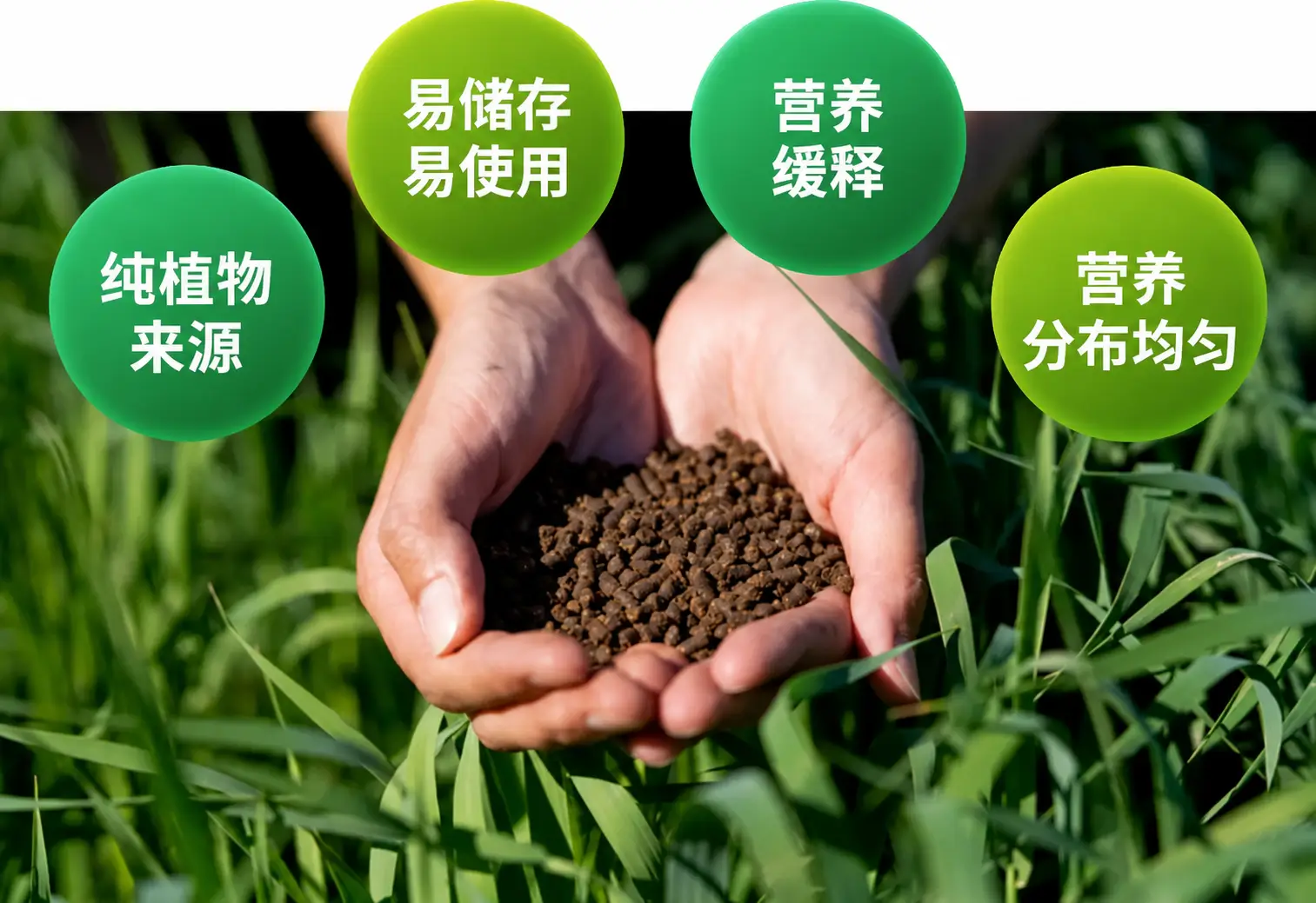 为何选择肥料颗粒机