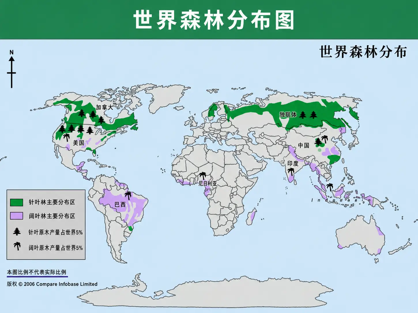 全球森林分布