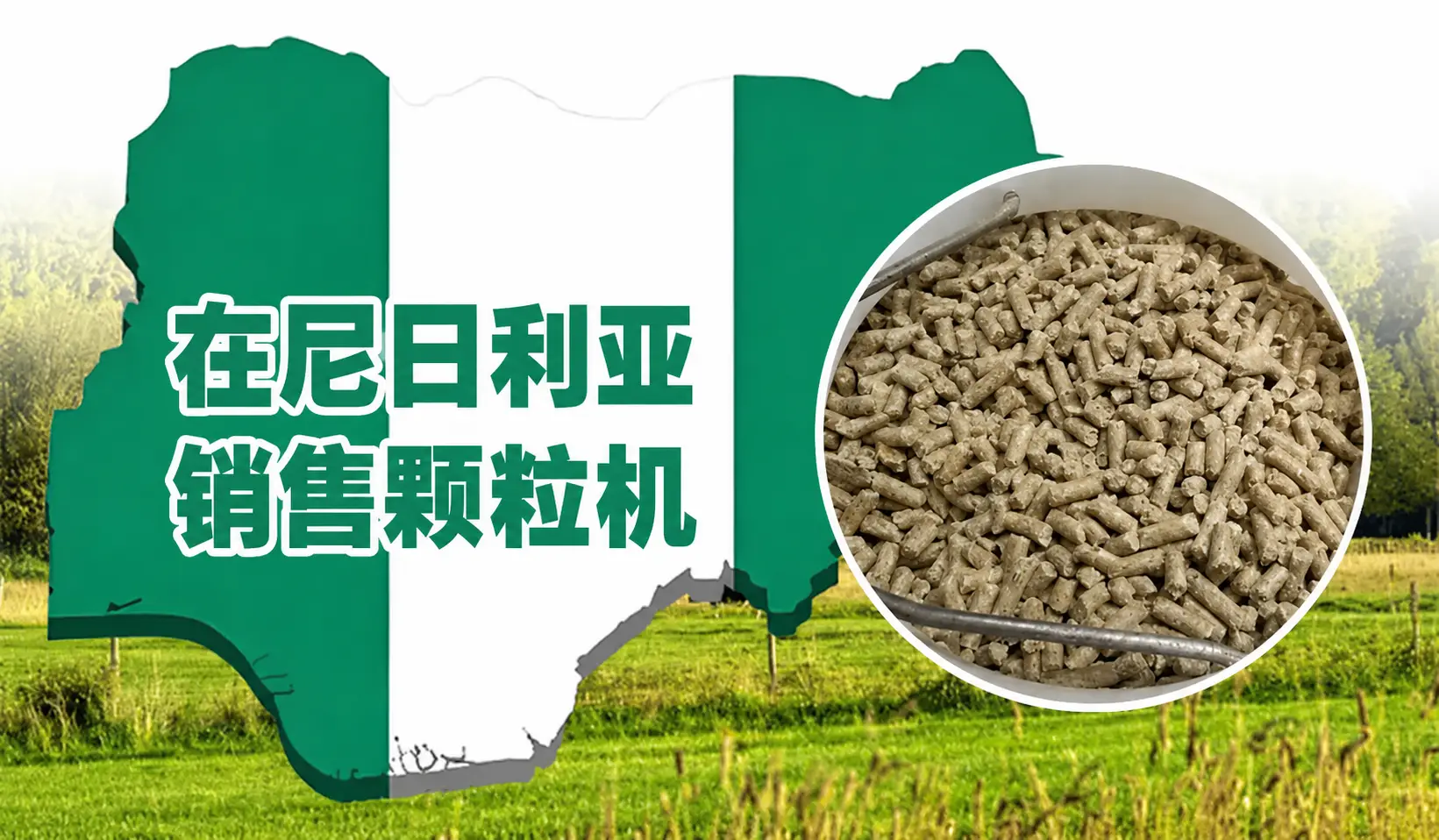 在尼日利亚销售饲料颗粒机：一个有利可图的机会