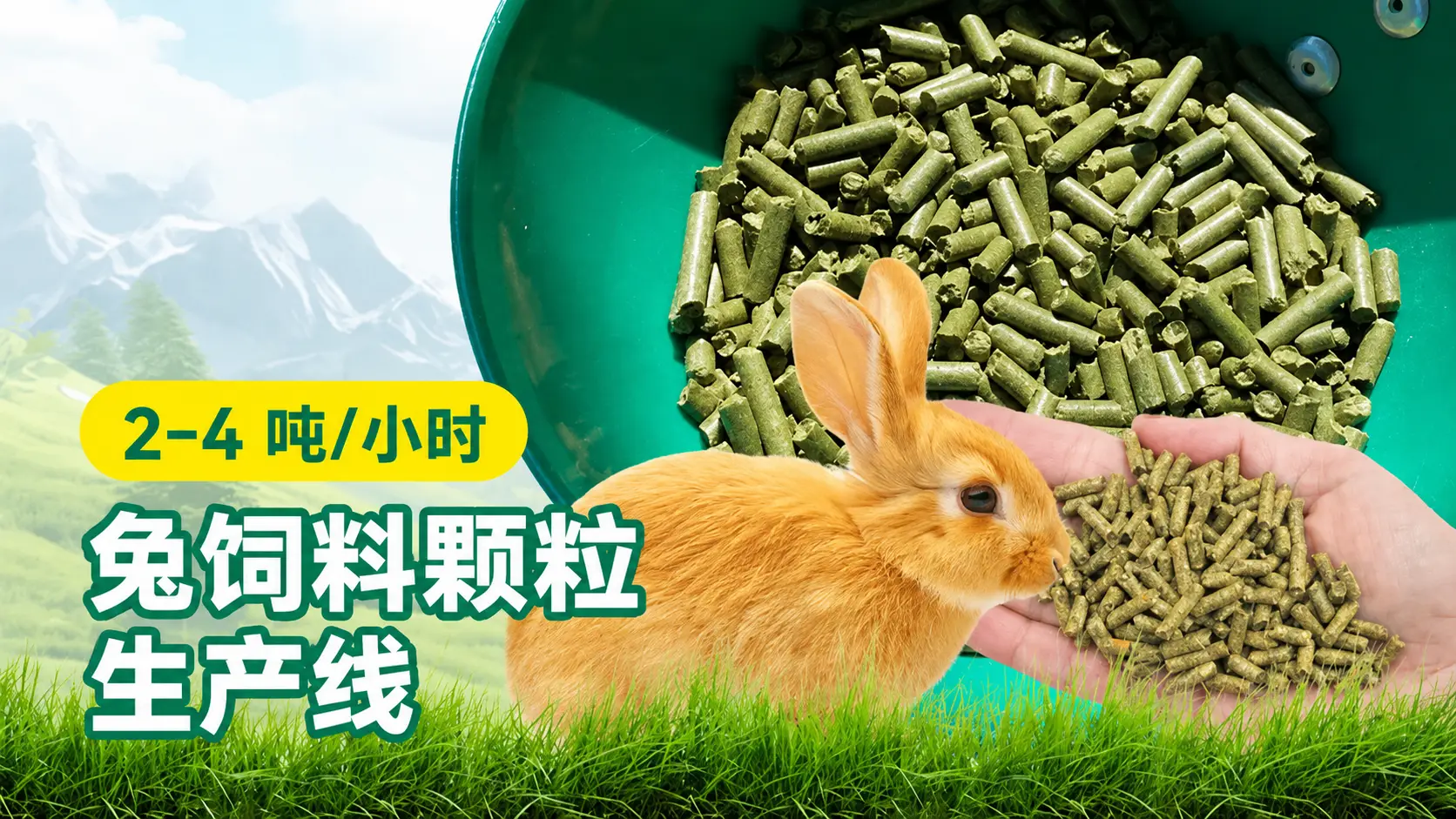 2–4 T/H 兔饲料颗粒生产线