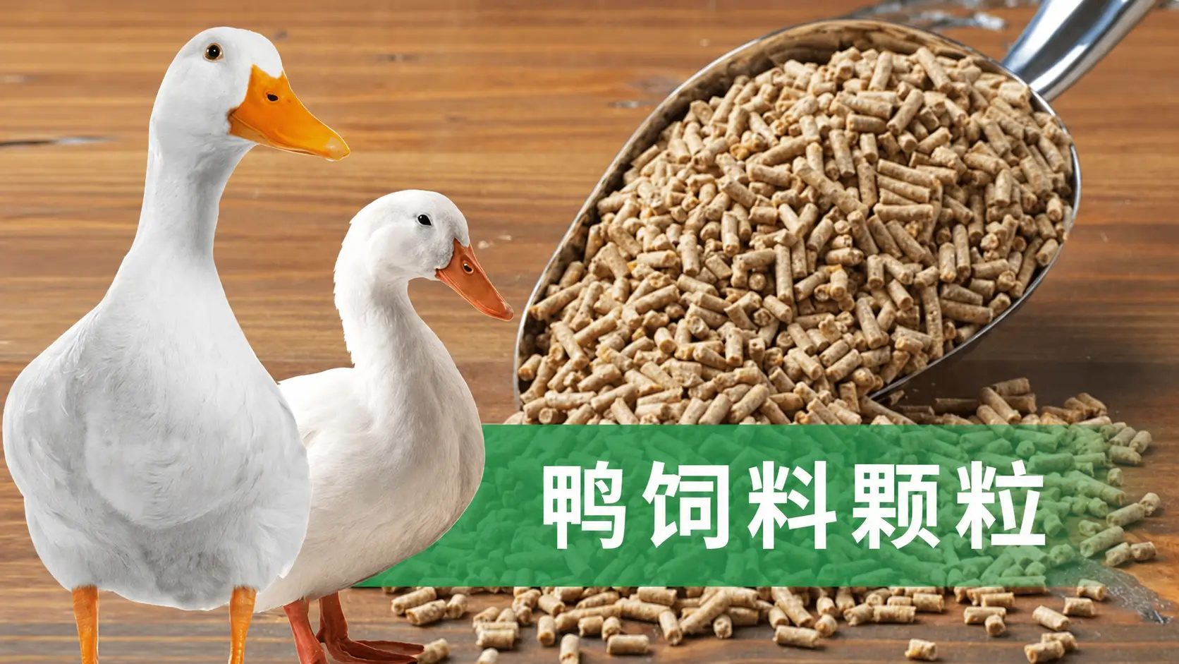 秘密：为什么鸭子偏爱颗粒饲料